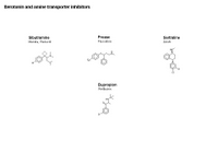 Serotonin and amine transporter inhibitors PPT Slide