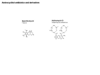 Aminocyclitols PPT Slide