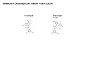Cholesteryl Ester Transfer Protein PPT Slide