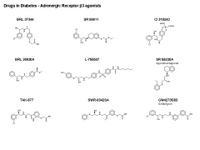 Drugs in Diabetes - Adrenergic Receptor beta 3 agonists PPT Slide