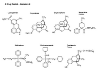 A Drug Toolkit - Narcotics II PPT Slide