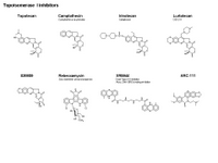 Topoisomerase I inhibitors PPT Slide