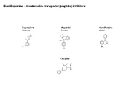 Dopamine-Noradrenaline dual transporter inhibitors PPT Slide