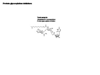 Protein glycosylation inhibitors PPT Slide