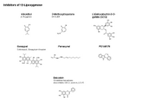 A Drug Toolkit - Inhibitors of 12-Lipoxygenase PPT Slide