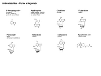 Antimetabolites - Purine antagonists PPT Slide