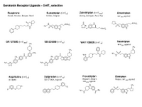 Serotonin Receptor ligands - 5-HT1 selective PPT Slide