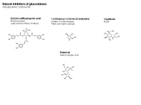 Natural hypoglycemic compounds - Glucosidase inhibitors PPT Slide
