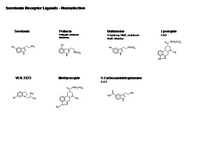 Serotonin Receptor ligands - Nonselective PPT Slide
