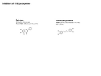 A Drug Toolkit - Inhibitors of 15-Lipoxygenase PPT Slide