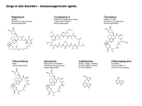 Drugs in skin disorders - immunosuppressive agents PPT Slide