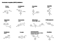 Serotonin transporter inhibitors PPT Slide