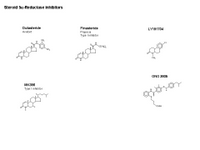Steroid 5alpha reductase inhibitors PPT Slide