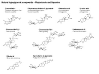 Natural hypoglycemic compounds - Phytosterols and Saponins PPT Slide