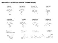 Serotonin-Noradrenaline dual transporter inhibitors PPT Slide