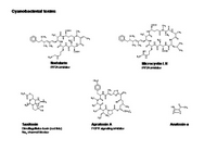 Cyanobacterial toxins PPT Slide