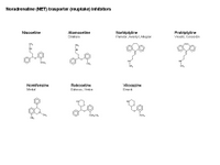 Noradrenaline transporter inhibitors PPT Slide