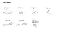 PDE3 inhibitors PPT Slide