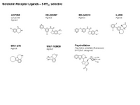Serotonin Receptor ligands - 5-HT2c selective PPT Slide