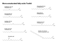 A Mono-unsaturated fatty acids Toolkit PPT Slide