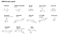 NMDA Receptor ligands PPT Slide