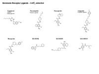 Serotonin Receptor ligands - 5-HT4 selective PPT Slide