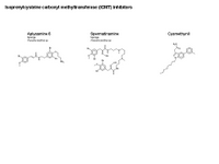 Isoprenylcysteine carboxyl methyltransferase inhibitors PPT Slide