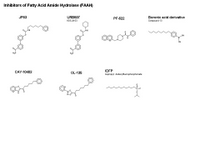 Inhibitors of Fatty Acid Amide Hydrolase PPT Slide