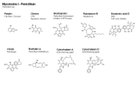 Mycotoxins I - Penicillium PPT Slide
