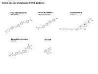 Protein phosphotyrosine phosphatase PTPB1 inhibitors PPT Slide