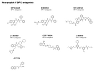 Neuropeptide Y receptor antagonists PPT Slide