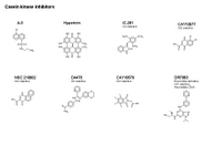 Casein kinase inhibitors PPT Slide