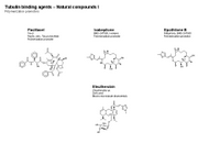 Tubulin binding agents - Polymerization promoters PPT Slide