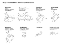 Drugs in transplantation - Immunosuppressive agents PPT Slide