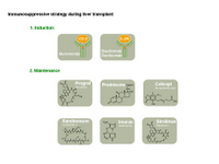 Immunosuppressive strategy in liver transplantation PPT Slide