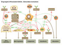 Drug targets in RA - Extracellular mechanisms PPT Slide
